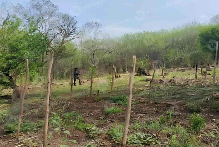 Encuentran mu3rt0 a Ascención en Carácuaro; su acompañante está desaparecido