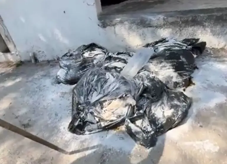 Encuentran restos de más de diez animales en el centro de Monterrey