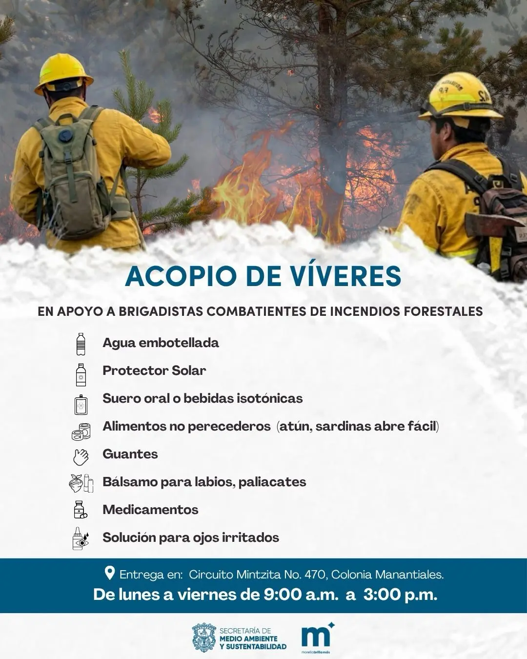 ¡Entérate! ¿Dónde y cómo apoyar a brigadistas forestales en Morelia?
