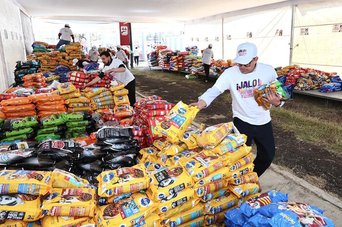 Entregadas a refugios casi 60 toneladas de croquetas para michis y lomitos: Paula Espinosa