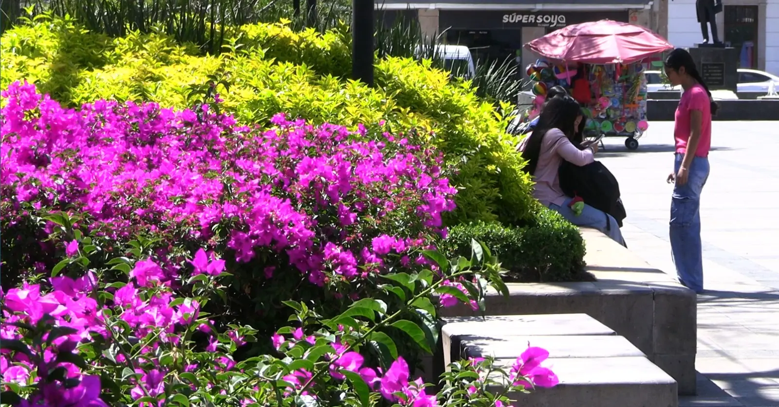Equinoccio de primavera marca el cambio de estación este 20 de marzo