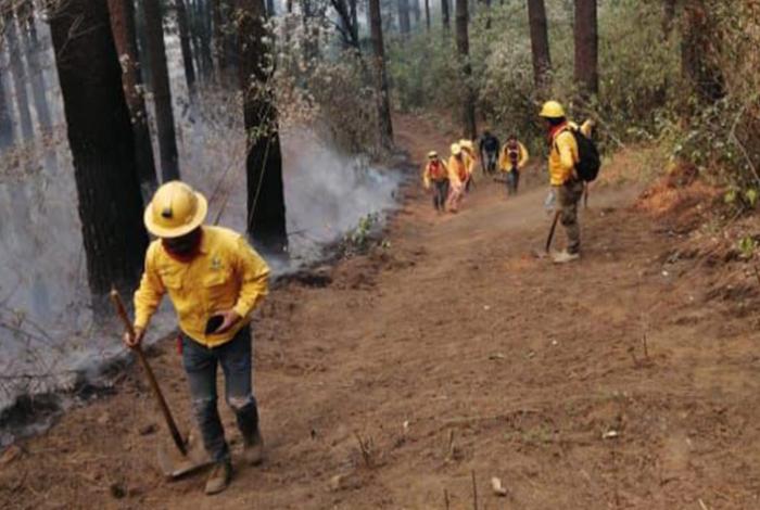 Es hora de apoyar: Gobierno de Morelia convoca a donar víveres para brigadistas forestales