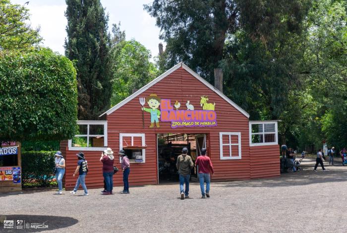 Escápate al zoológico y vive un verano inolvidable; conoce su horario de temporada