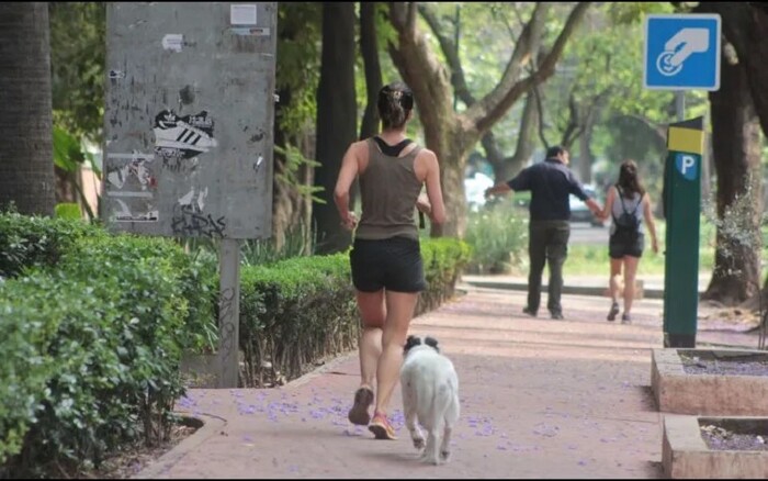 Esta es la ciudad más segura para vivir en México, según una encuesta del INEGI