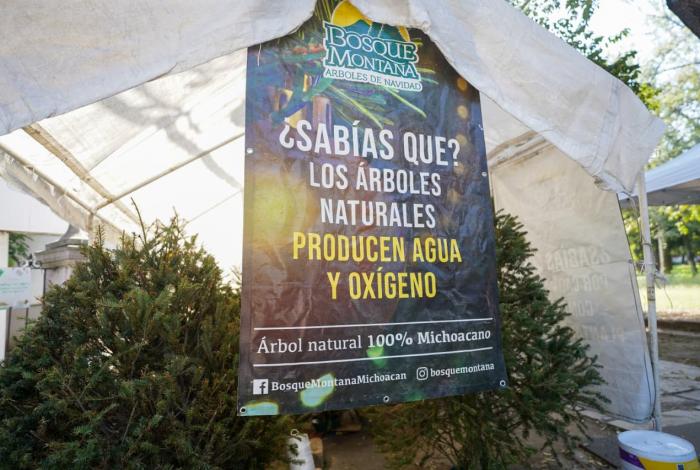 Este fin de semana, compra tu árbol navideño en la COFOM