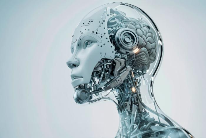 Este portal permite explorar más de 60 órganos humanos con un nivel de detalle sin precedentes