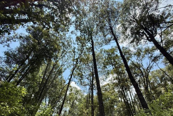 Este verano explora las áreas naturales protegidas de Michoacán en familia