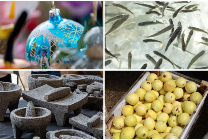 Estos productos de Michoacán recibirán protección con Indicación Geográfica