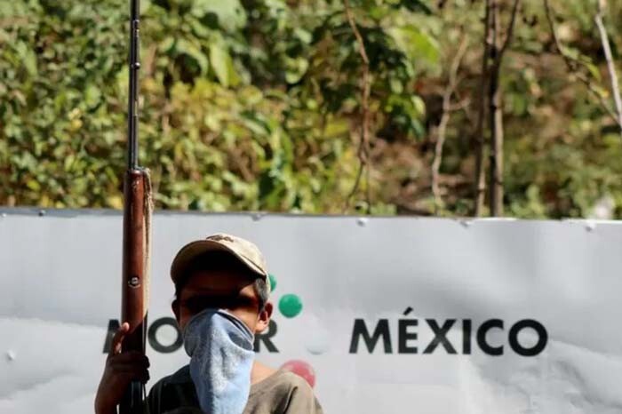 EUA alerta de niños en México involucrados en la cosecha de sustancias para hacer drogas