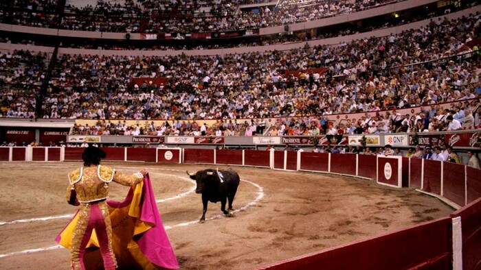 Exponer a menores de edad a corridas de toros les da ansiedad: especialista