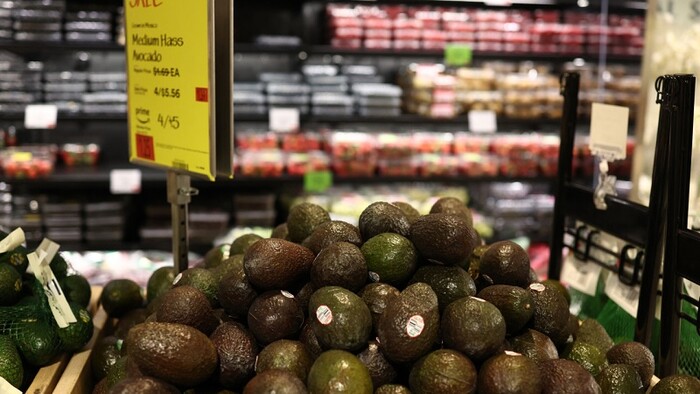 Exportaciones de aguacate mexicano llegan estables de cara a Super Bowl