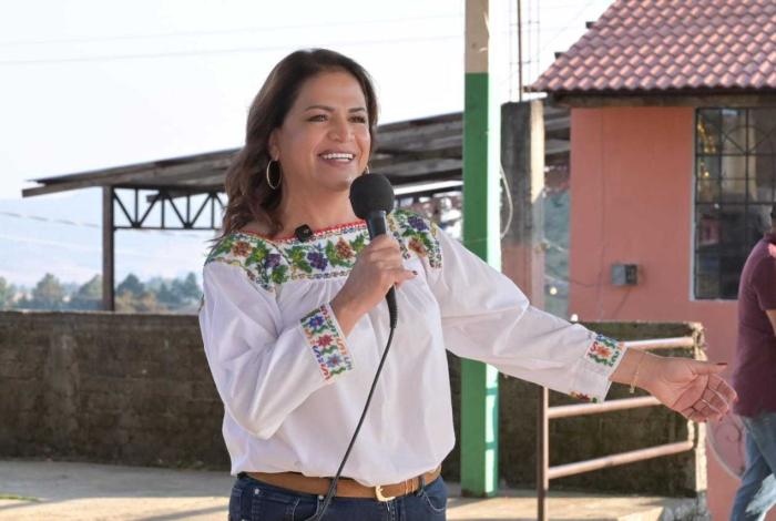 Fabiola Alanís solicita licencia para participar en el proceso interno de Morena rumbo a la Coordinación de los Comités de Defensa de la 4T en Michoacán