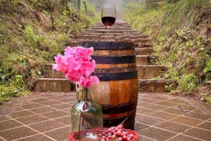 Festival Café, Chocolate y Vino en Pátzcuaro: Todo lo que debe saber de la sexta edición