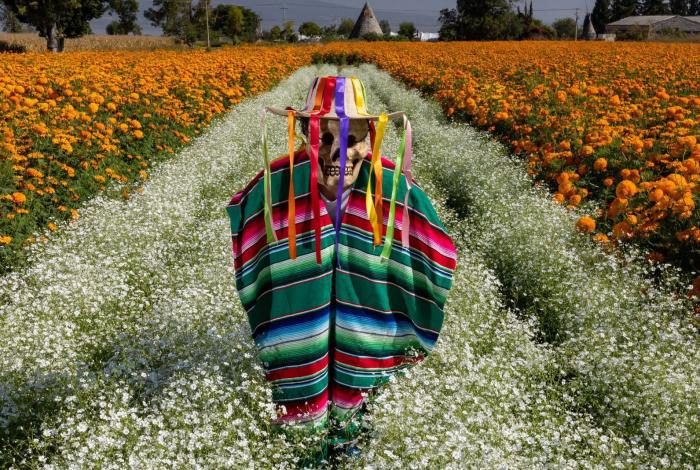 Festival de las Flores de Copándaro prepara un fin de semana lleno de tradición y color: Sectur