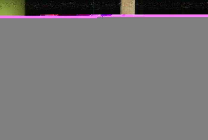 Folklórico de Michoacán celebra 67 años con funciones en Morelia