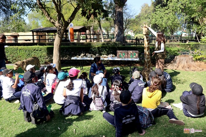 #Fotos | Conoce los talleres didácticos del Zoo de Morelia para fomentar el cuidado ambiental