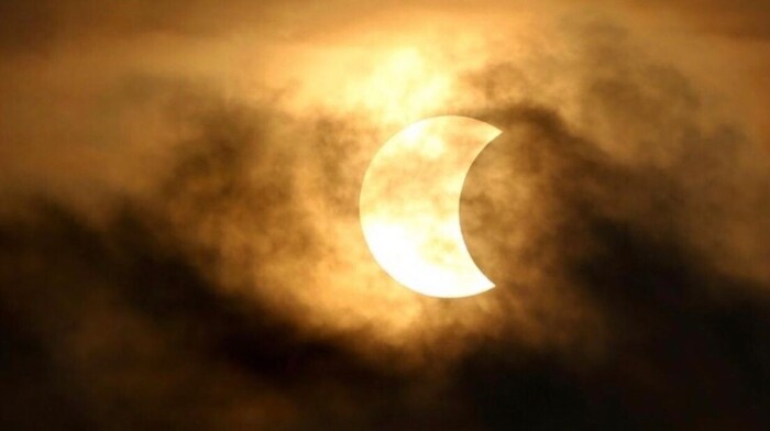 #Fotos | Eclipse solar “engañará” a animalitos del Zoo de Morelia