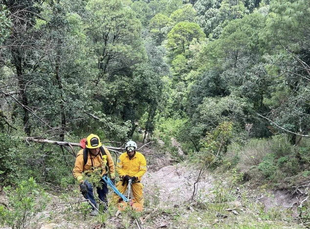 #Fotos | Hombre muere al caer camioneta a barranco en San José de las Torres, Morelia 