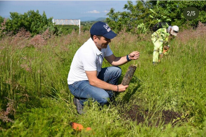 #Fotos | Plantan mil árboles en Área Natural Protegida de La Piedad