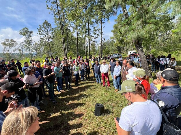 #Fotos | Reforestan cerro Blanco, área protegida para la conservación del lago de Pátzcuaro