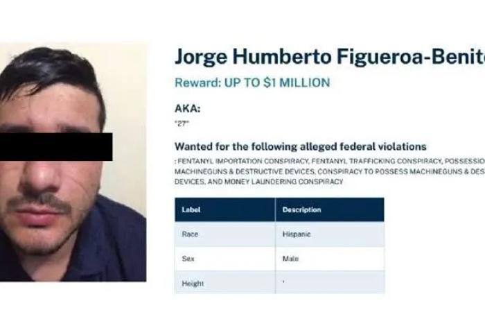 Fuerzas armadas abaten a operador de ‘Los Chapitos’ en Sinaloa