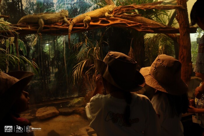 #Galería | Aún estás a tiempo de ser explorador con el curso de verano del zoológico