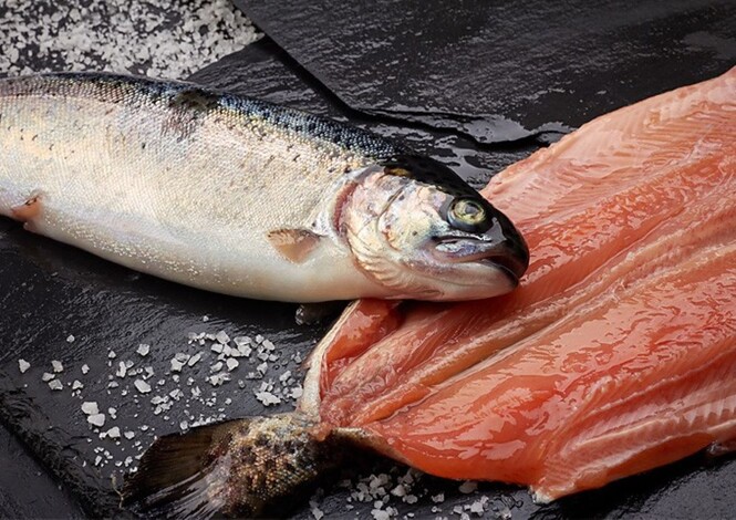 #Galería | Mañana, último día de venta de pescados y mariscos en módulos de la Compesca en Morelia