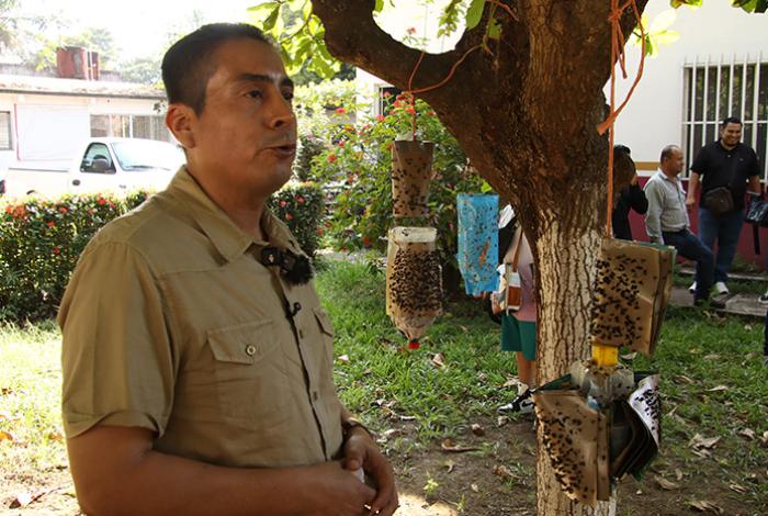 Ganaderos de Chiapas instalan trampas artesanales para contener al gusano barrenador