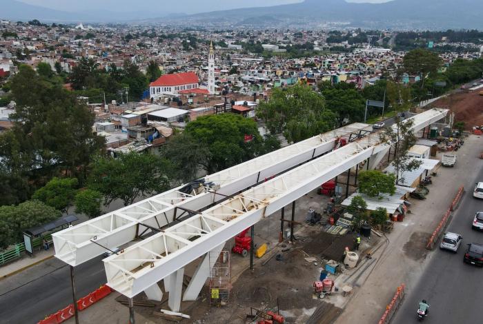 Gobierno de Michoacán compensa obras viales con casi 7 mil árboles