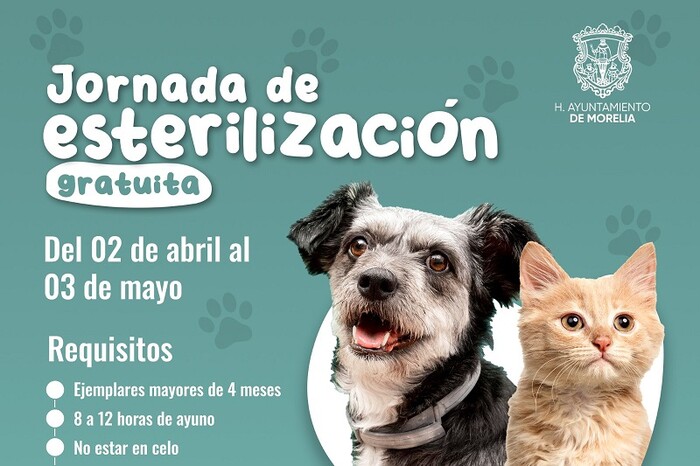 Gobierno de Morelia invita a Jornada de esterilización para mascotas