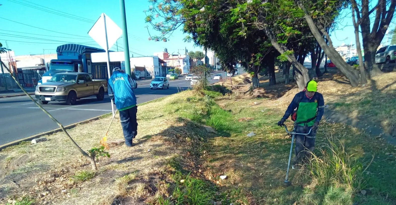 Gobierno de Morelia trabaja por una ciudad más verde y ordenada