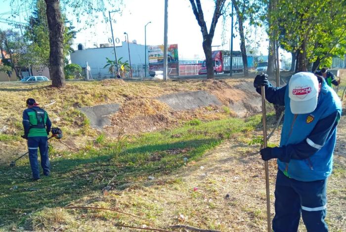 Gobierno de Morelia trabaja por una ciudad más verde y ordenada