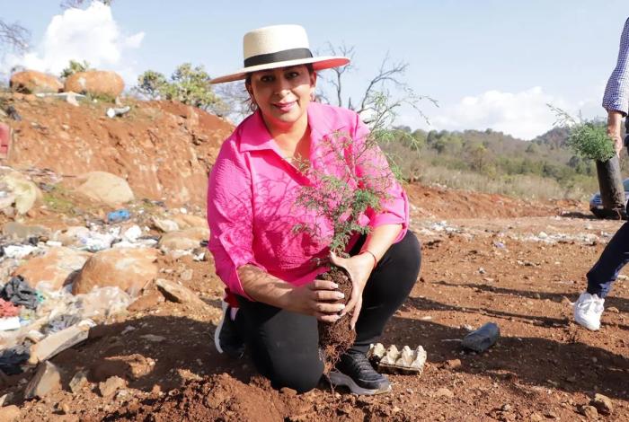 Gobierno de Quiroga plantó más de 500 árboles en el Día Mundial del Medio Ambiente
