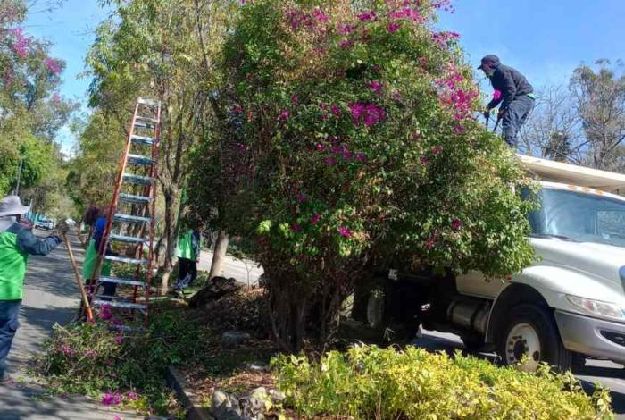 Gobierno Municipal interviene y mejora los espacios públicos de Morelia