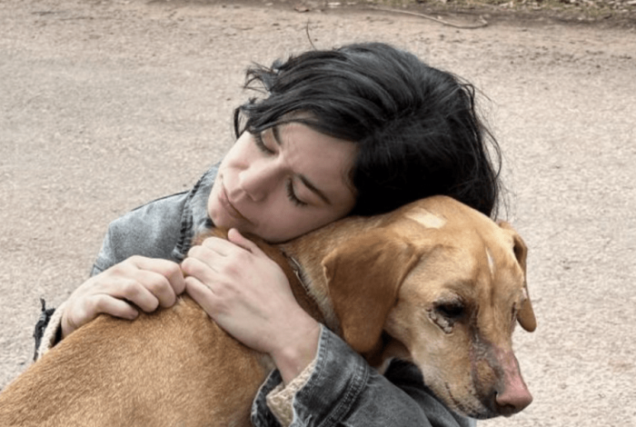 Grandes películas en Muestra Internacional de Cine en Casa Natal de Morelos