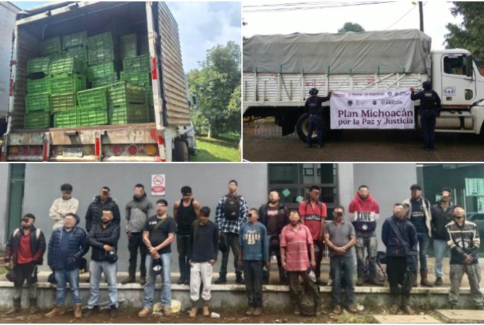 Guardia Civil detiene a 20 hombres que cargaban un camión con aguacate recién robado de una huerta, en Uruapan