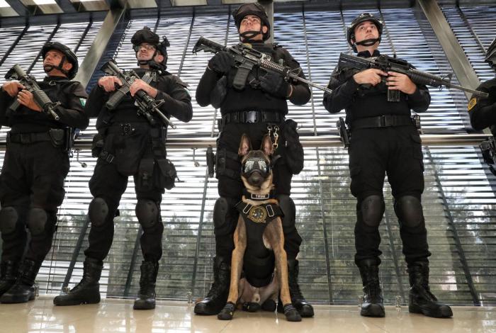 Guardia Civil suma 21 lomitos entrenados para el combate a la delincuencia