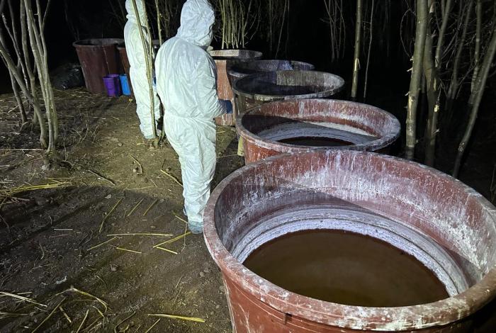 Guardia Nacional y Ejército Mexicano inhabilitaron un laboratorio clandestino y aseguraron 3,500 litros de metanfetamina en Nocupétaroa