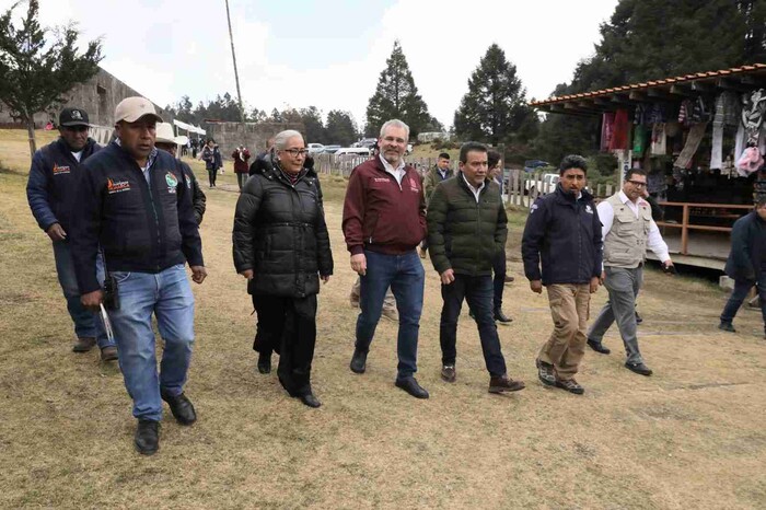 Guardián Forestal vigila permanentemente la Reserva de la Biósfera de la Mariposa Monarca: Bedolla