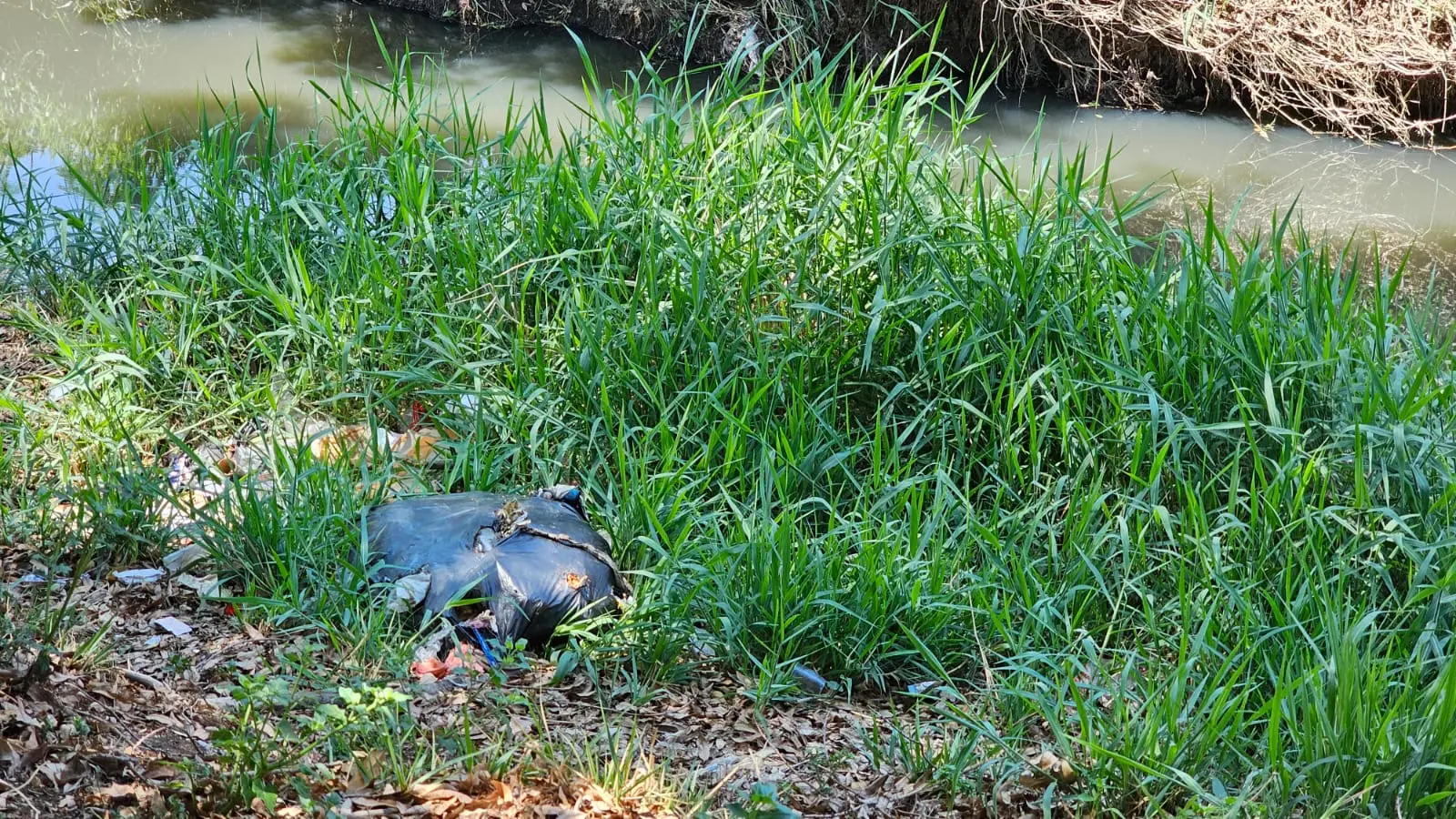 Habitantes de avenida Solidaridad denuncian contaminación y plagas por basura en el río