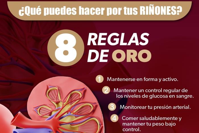 Hábitos saludables, la mejor defensa para prevenir la insuficiencia renal: SSM