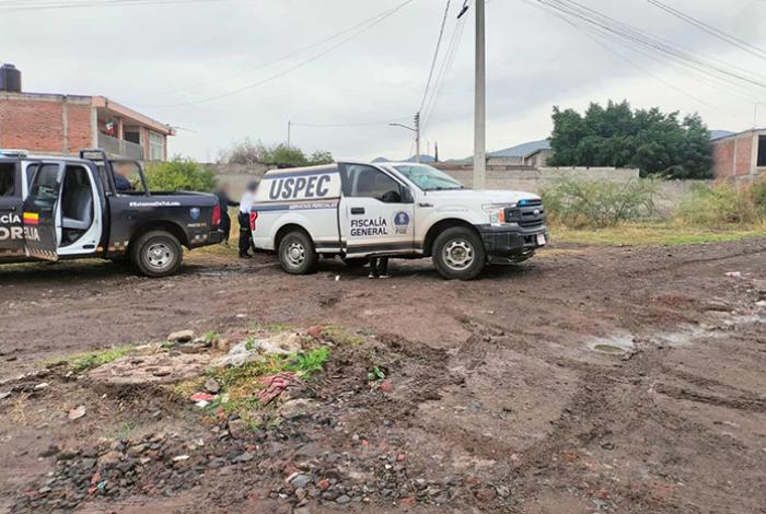 Hallan a mujer asesinada en lote baldío de la colonia Gertrudis Sánchez, Morelia