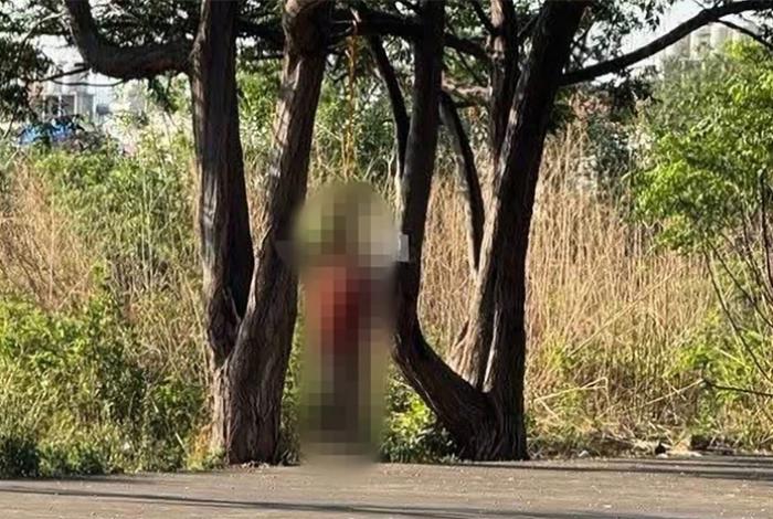 Hallan a un hombre colgado de un árbol en el fraccionamiento La Hacienda, Morelia