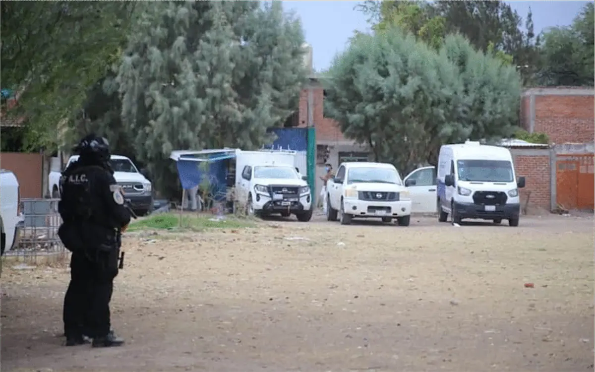 Hallan al menos 16 cuerpos en una fosa clandestina en Irapuato