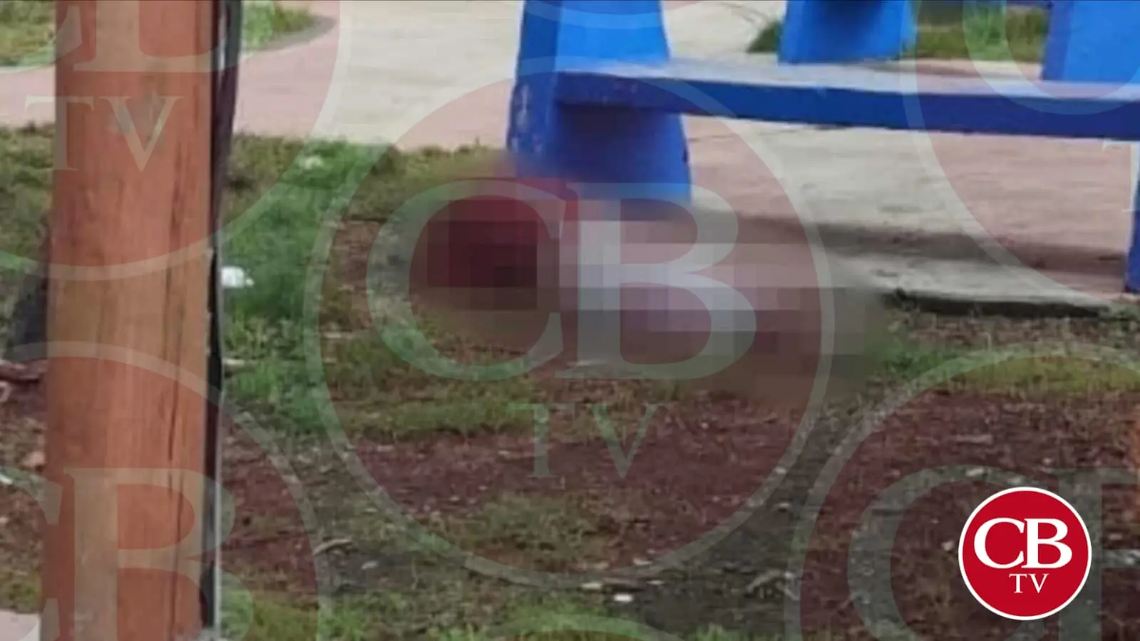 Hallan hombre muerto en la Solidaridad de Morelia