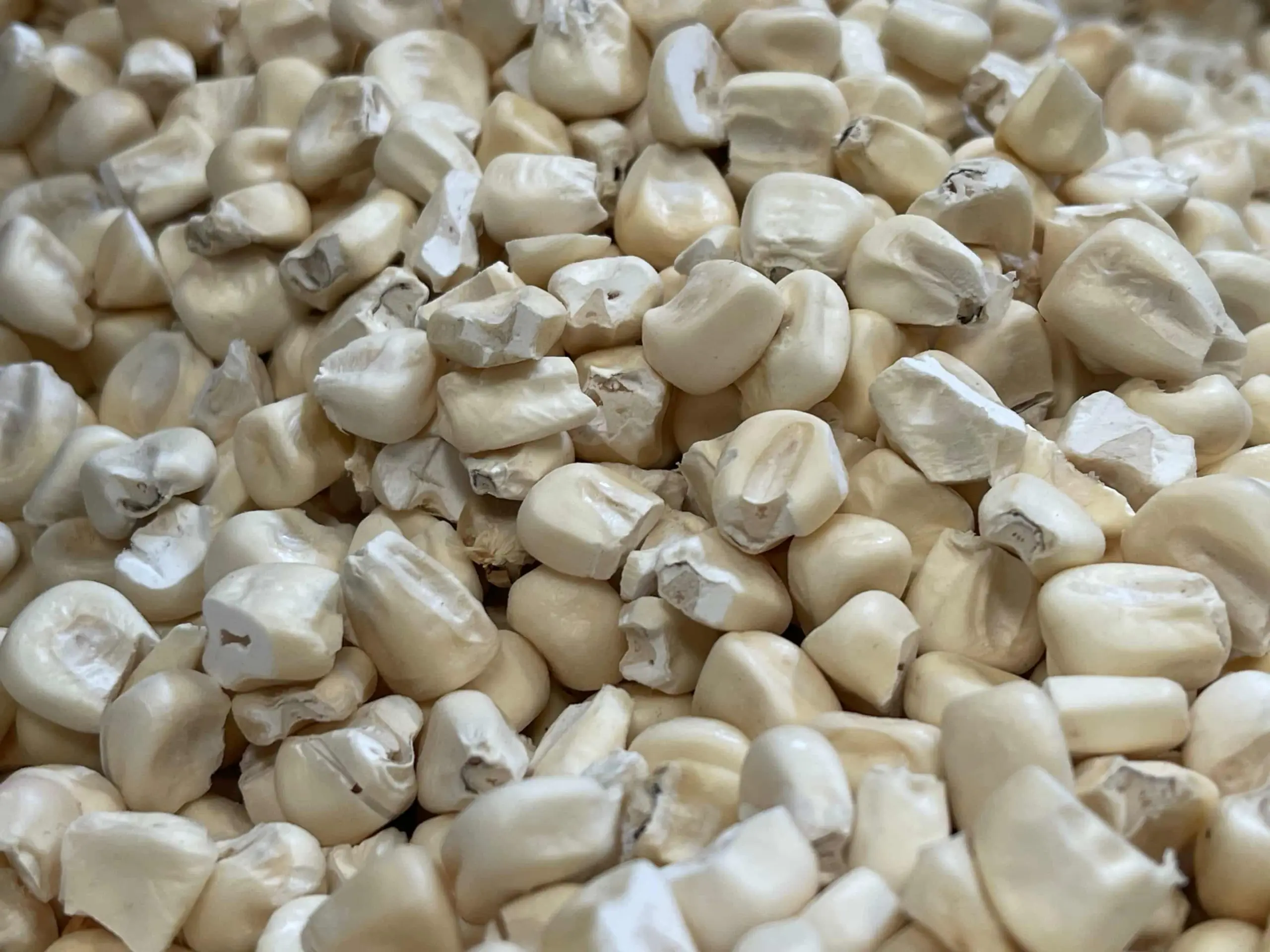 Hasta $1,200 gastan morelianos para la cena mexicana este 15 de septiembre