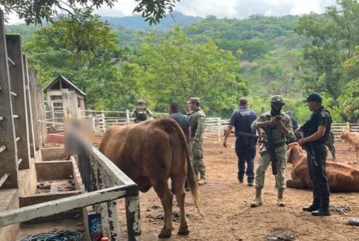 Hombre deten1d0 en Nuevo Urecho le quitó la vida a su propio hermano