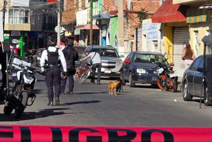 Hombre en situación de calle falleció en Zamora y su perro permaneció fiel junto a él