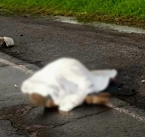 Hombre muere arrollado al cruzar la carretera