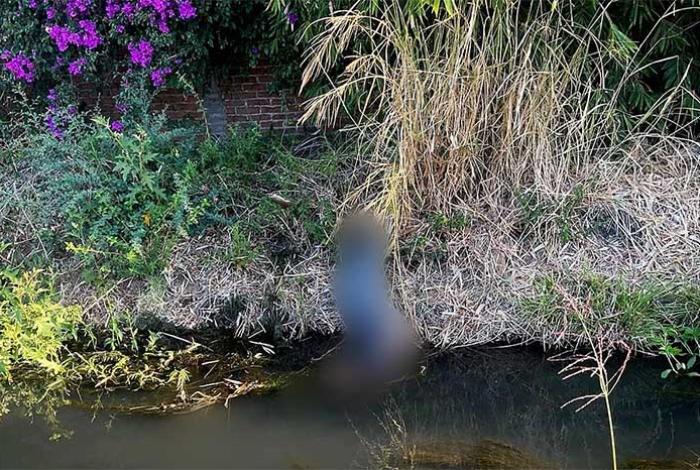 Hombre que cortaba carrizos toca cables de mediana tensión y muere electrocutado, en Zamora